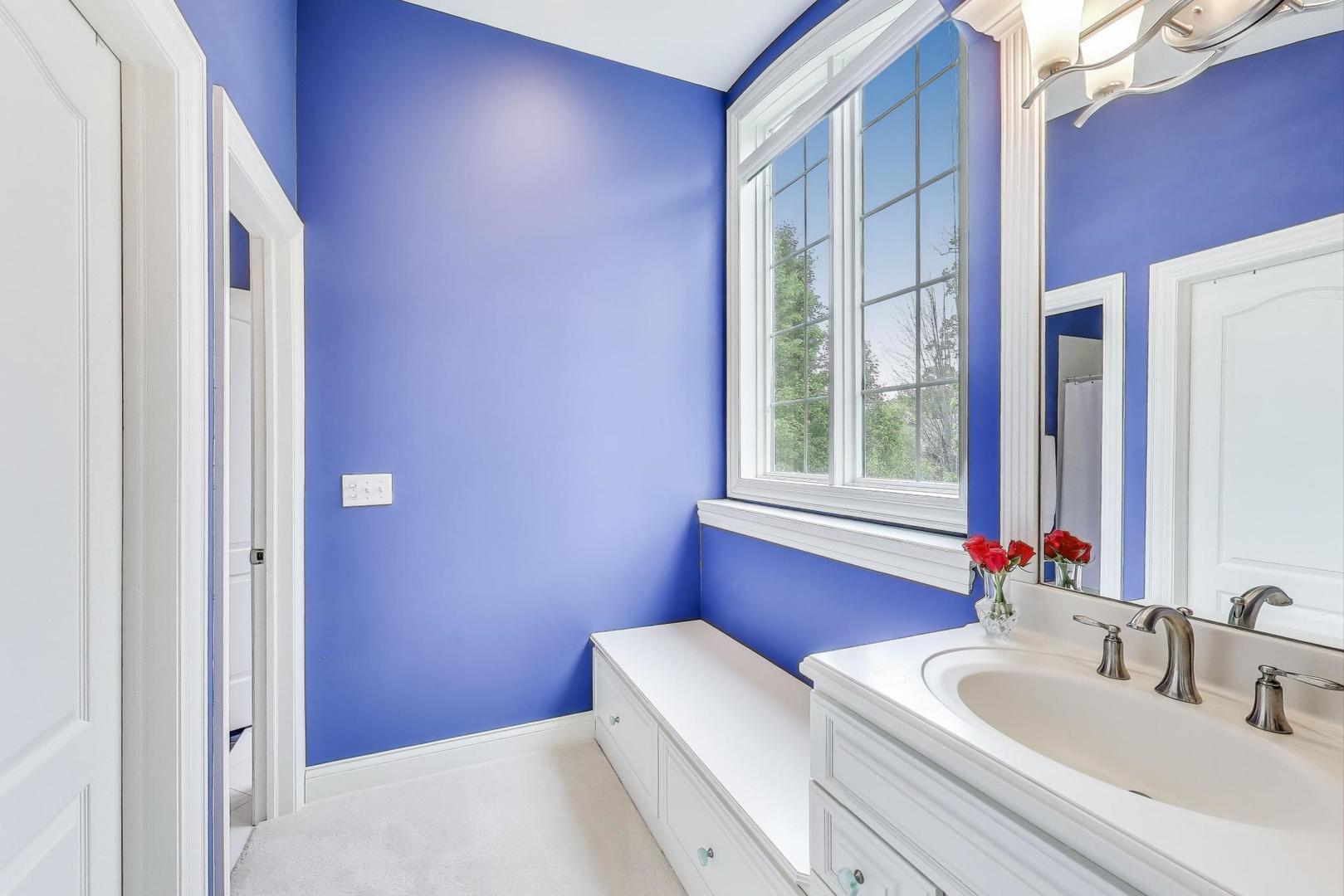 20580 West High Ridge Drive Kildeer, IL 60047 - Photo 37 of 69 a bathroom with a sink and a mirror