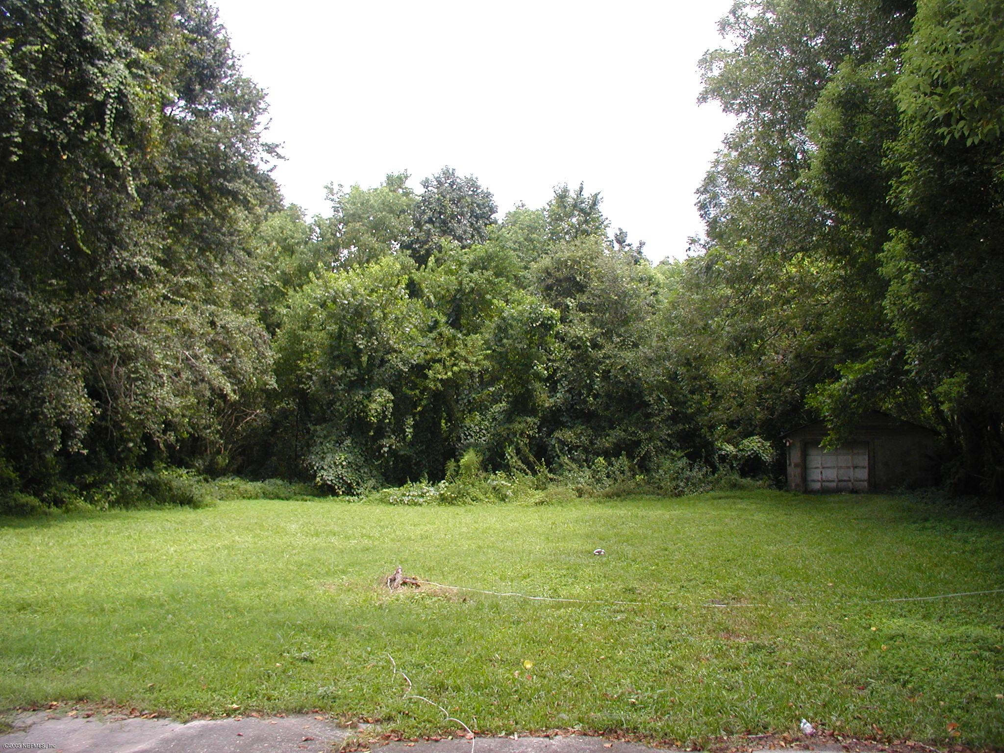 Spacious Backyard