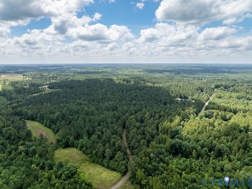 an aerial view of houses covered in trees