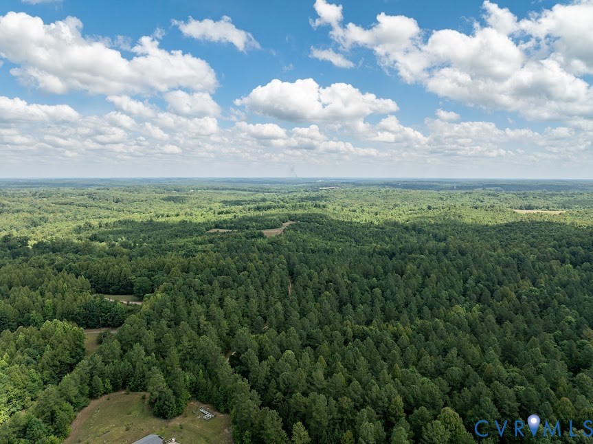 0 Gully Tavern Road Rice, VA 23966 - Photo 3 of 6 a view of a yard with an trees