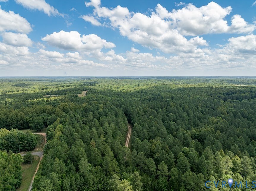 0 Gully Tavern Road Rice, VA 23966 - Photo 4 of 6 a view of a city and a yard