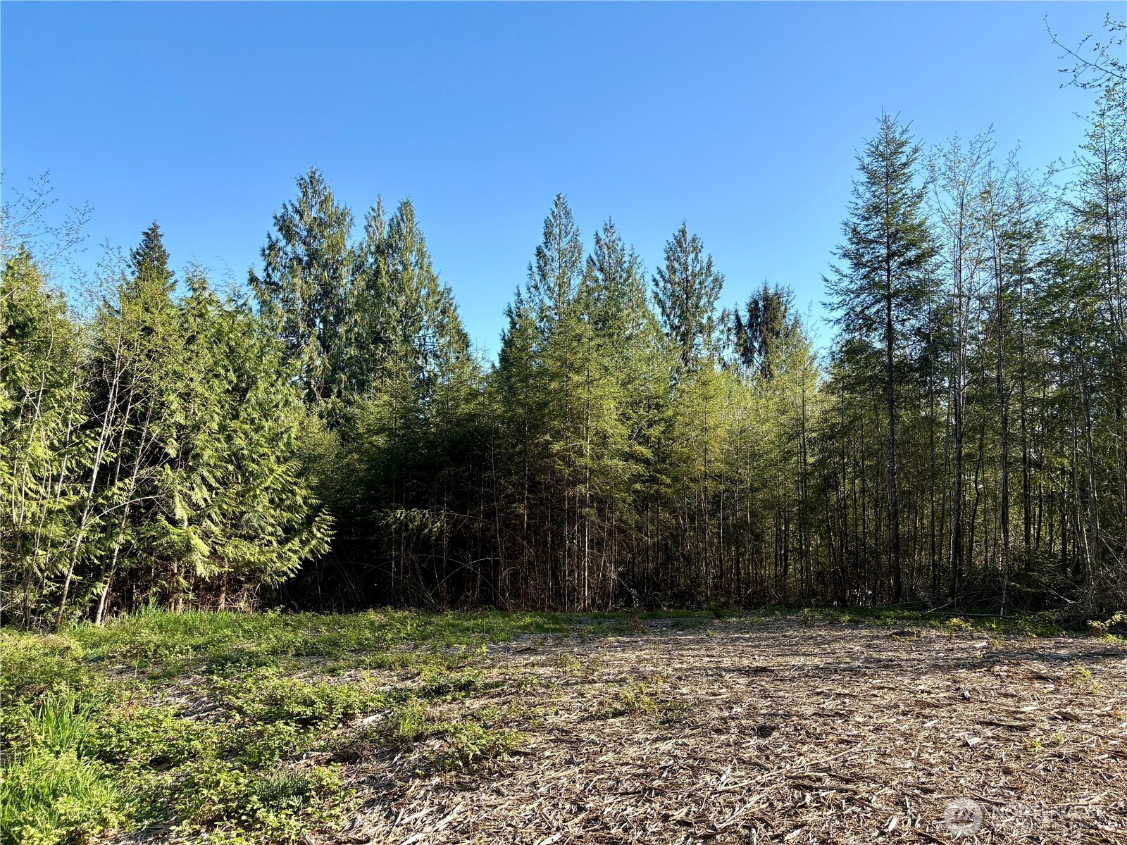 1 Dolce Lane Elma, WA 98541 - Photo 2 of 18