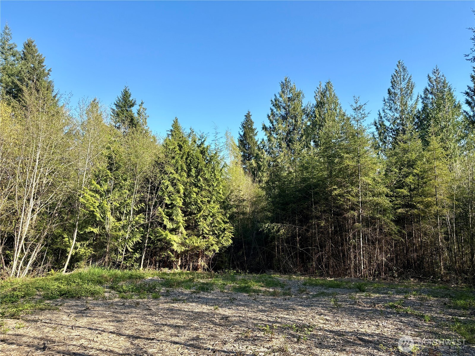 1 Dolce Lane Elma, WA 98541 - Photo 3 of 18