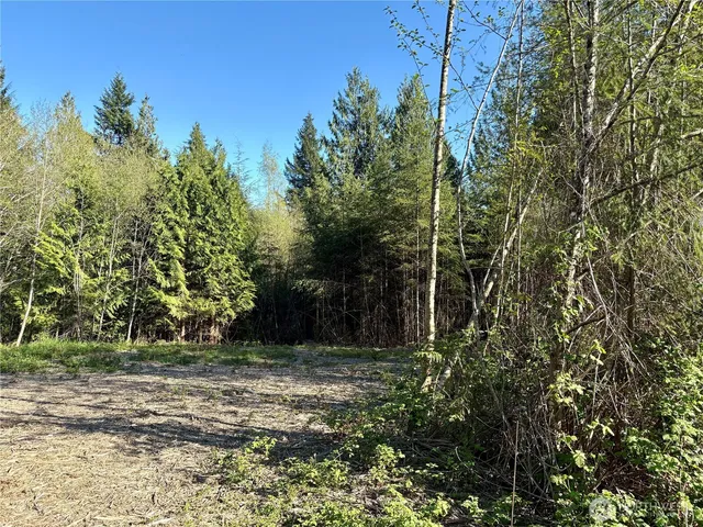 $89,950 | 1 Dolce Lane, Elma, WA 98541