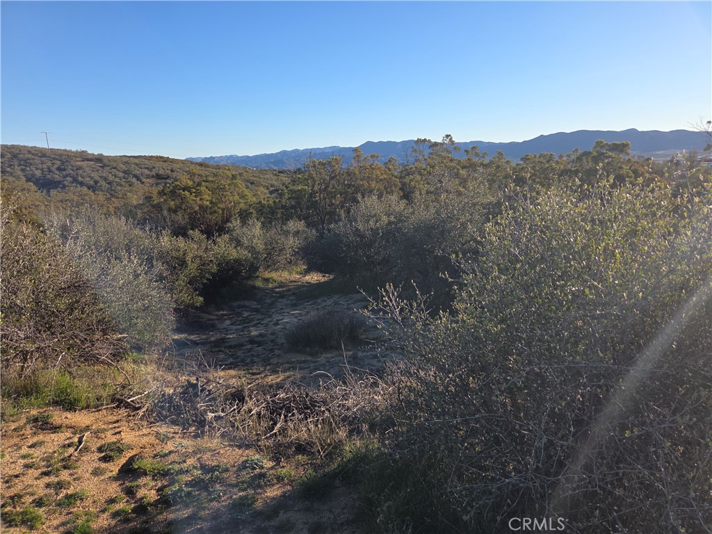 0 Everett Road Anza, CA 92539 - Photo 8 of 12 a view of a mountain in the distance in a field