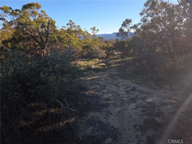 a view of mountains in the background