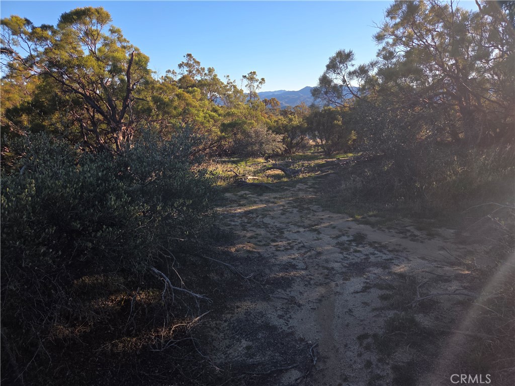 0 Everett Road Anza, CA 92539 - Photo 9 of 12 a view of mountains in the background