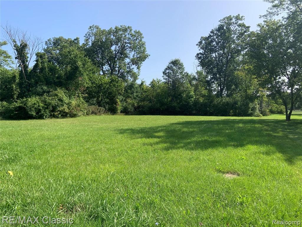 0 Wayne Beverly Road Romulus, MI 48174 - Photo 4 of 18 Gallery Image 4