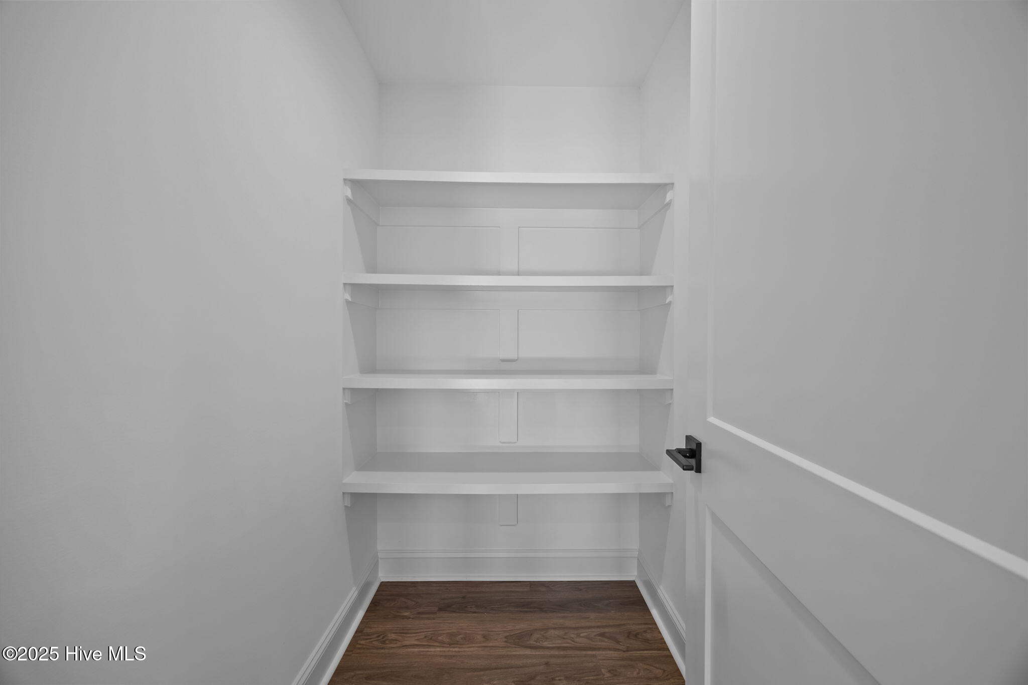 263 Treasure Point Road Bath, NC 27808 - Photo 10 of 76 walk in pantry