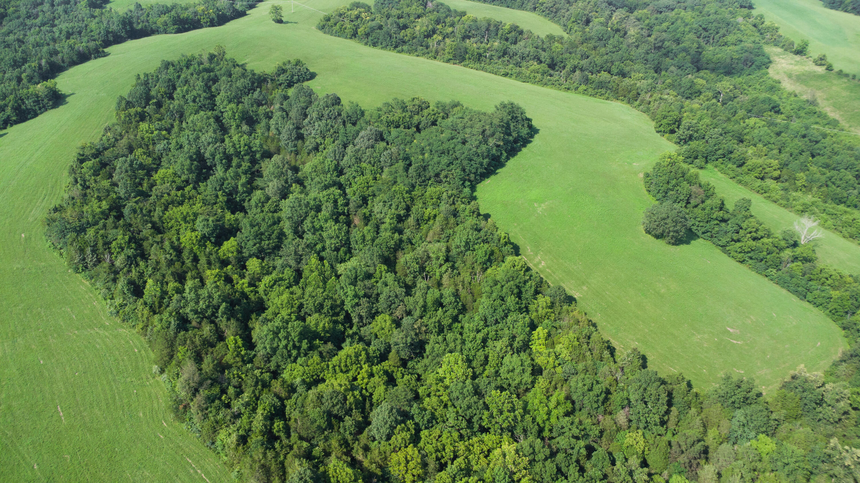 0 Baton Rouge Tract 1 Road Williamstown, KY 41097 - Photo 18 of 25
