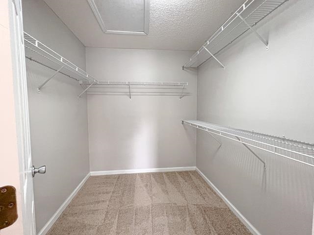 199 Sugar Mill Loop Myrtle Beach, SC 29588 - Photo 19 of 32