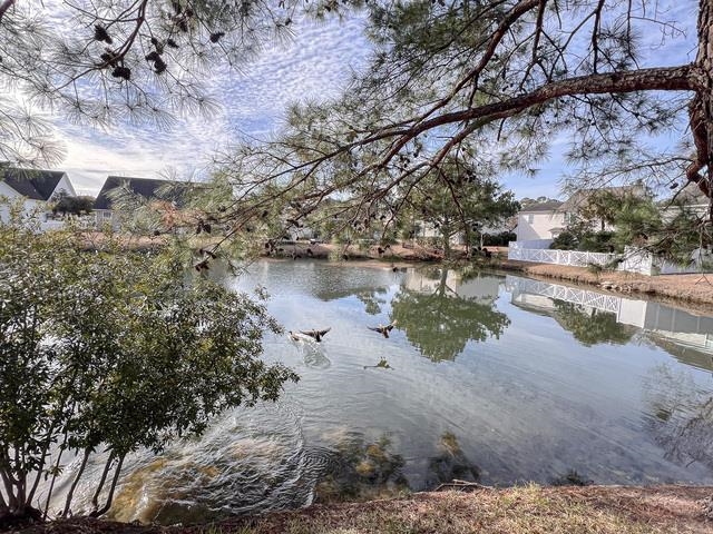 199 Sugar Mill Loop Myrtle Beach, SC 29588 - Photo 29 of 32