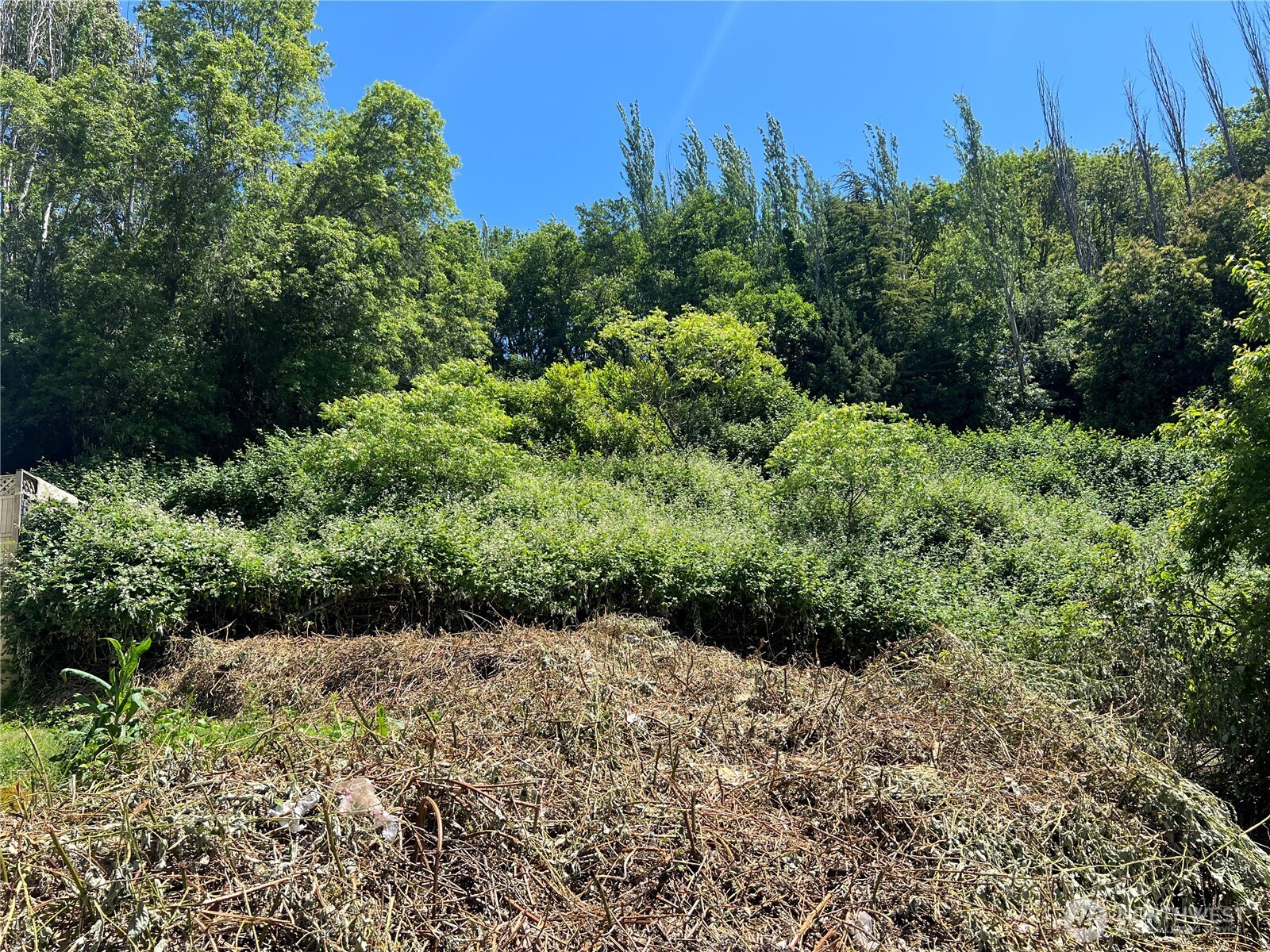 79-xx Military Road South Seattle, WA 98108 - Photo 2 of 5 a view of a garden with a building in background