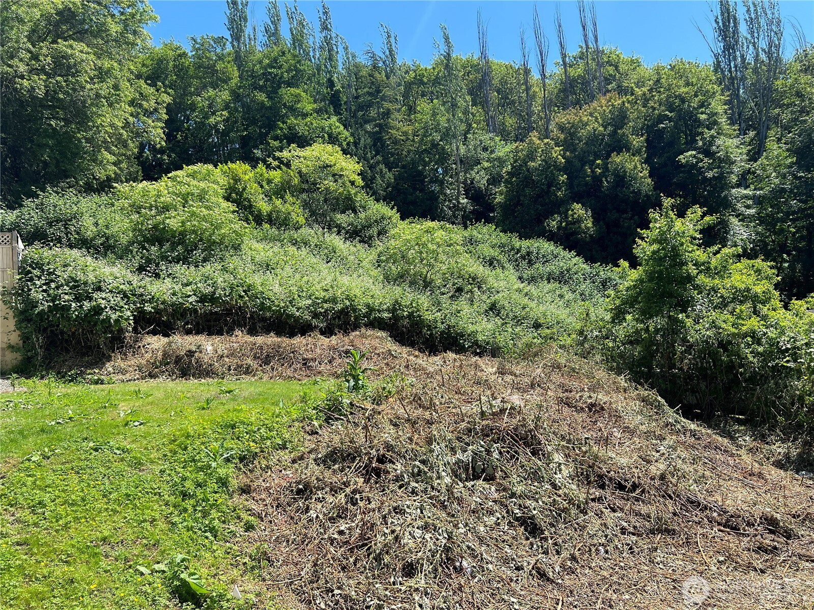 79-xx Military Road South Seattle, WA 98108 - Photo 3 of 5 a view of a garden with a building