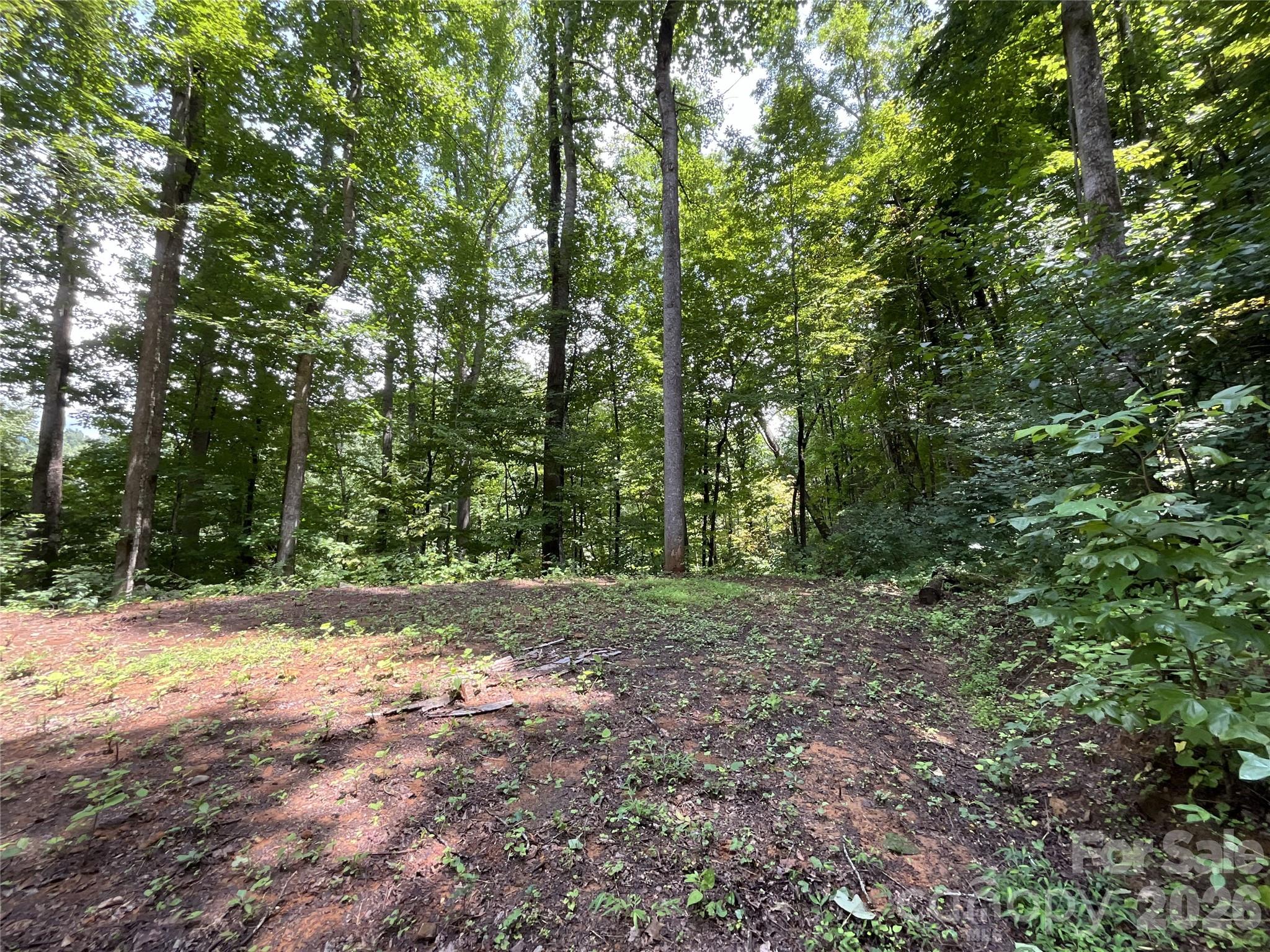 618 Dark Ridge Road Sylva, NC 28779 - Photo 18 of 38 Gallery Image 18