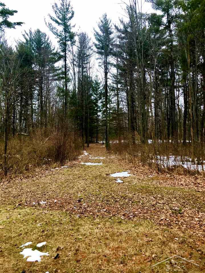 4670 Waltan Road Vassar, MI 48768 - Photo 25 of 28 50032930-24.JPG