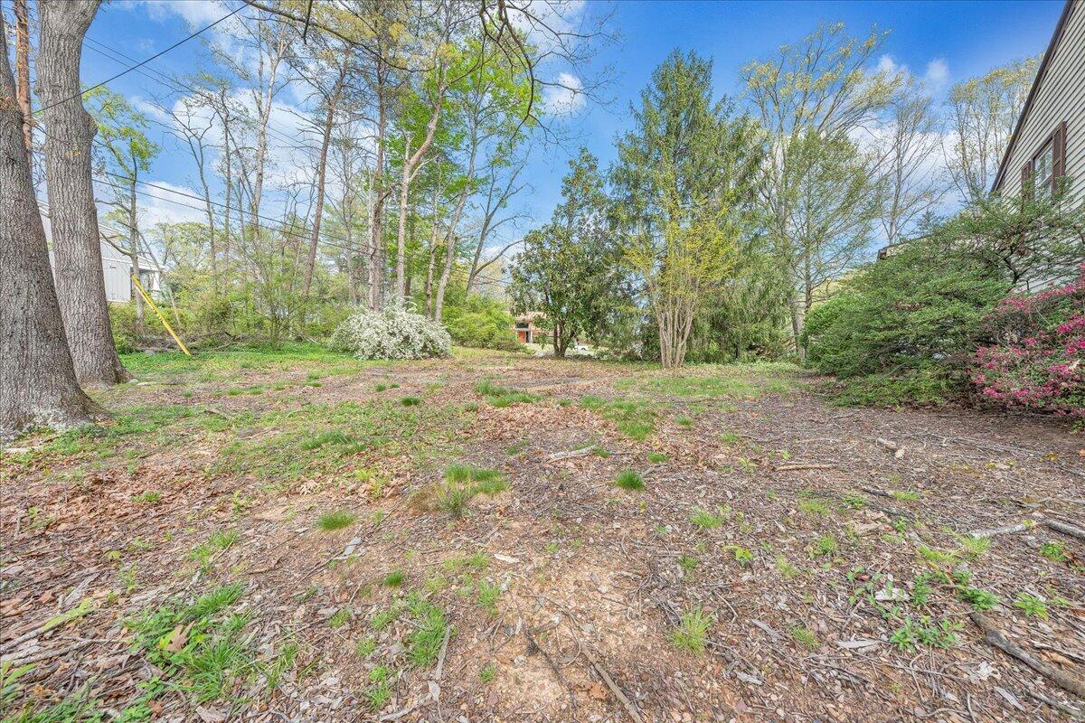 3534 Wedgewood Road Southwest Roanoke, VA 24018 - Photo 46 of 53 a view of a yard with a tree