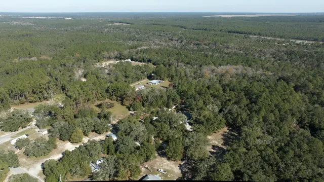a view of a forest with a forest