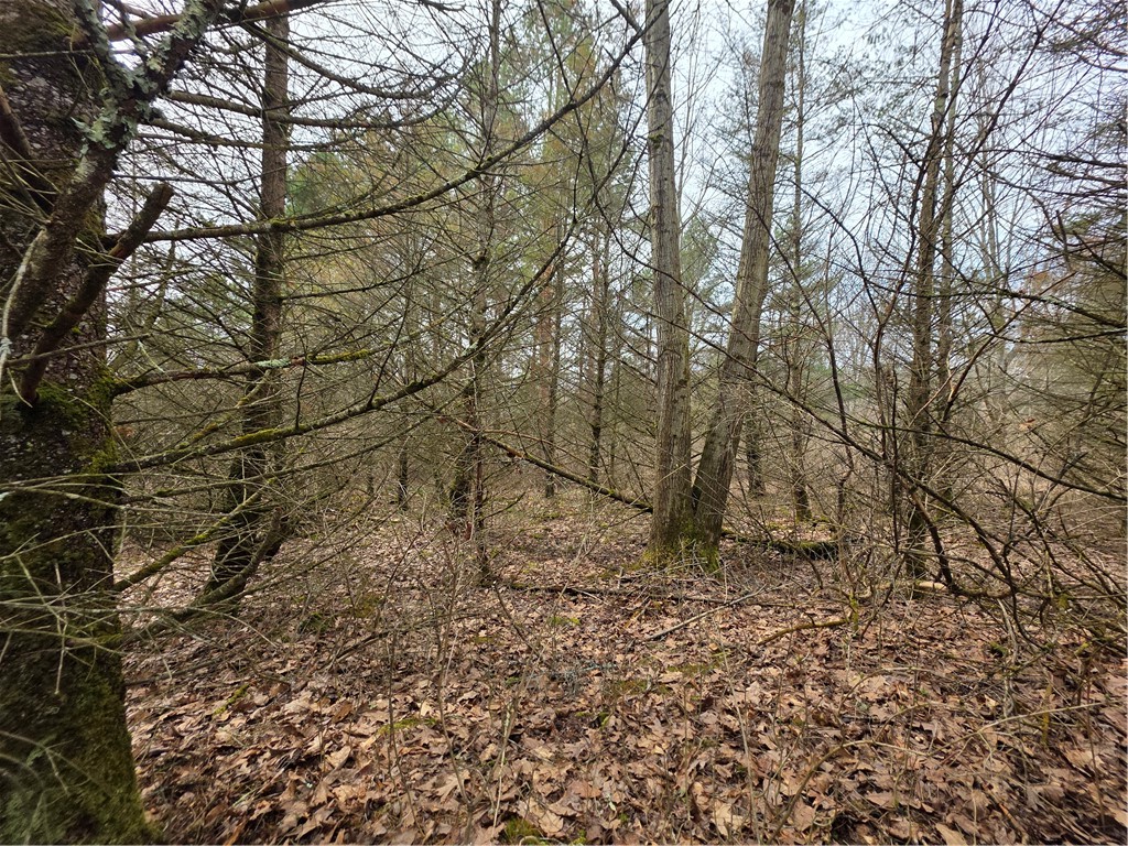 Dingman Hill Road Bainbridge, NY 13733 - Photo 15 of 21