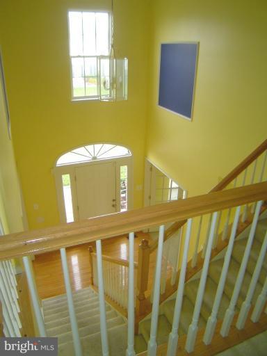 Interior (General)