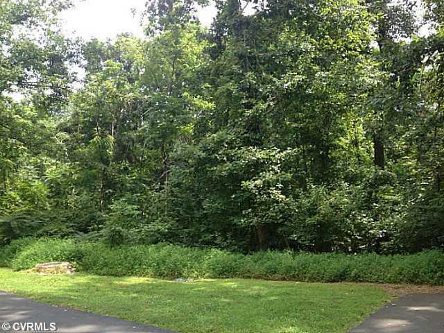 12801 South Chester Road Chester, VA 23831 - Photo 14 of 20 Yard/Garden - 15 acres
