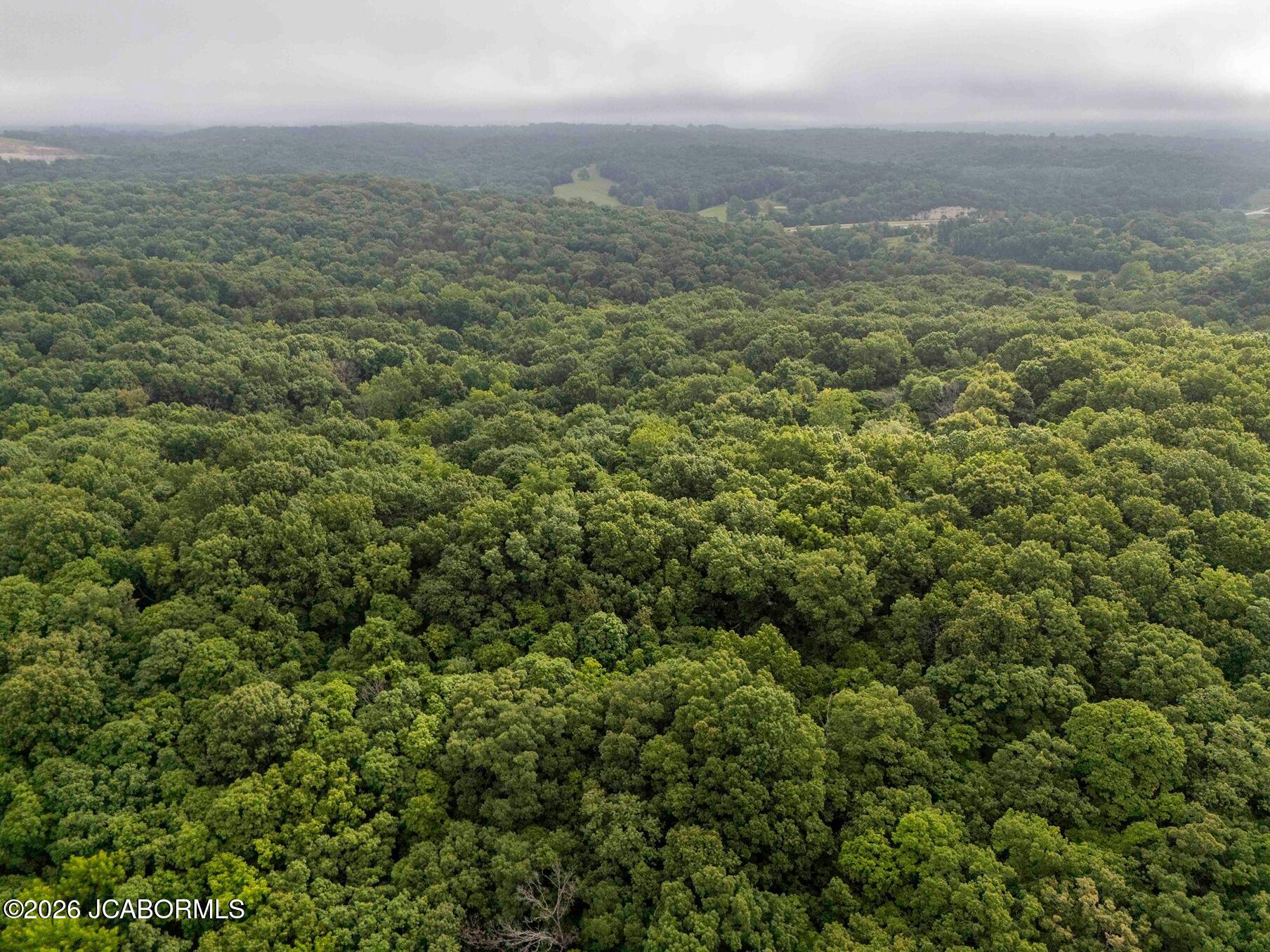 Tbd Talley Road Hartsburg, MO 65039 - Photo 76 of 106