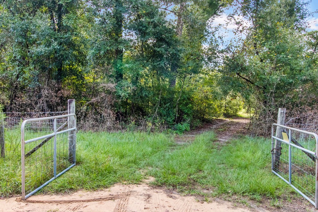 Undisclosed Address Gordon, AL 36343 - Photo 2 of 22