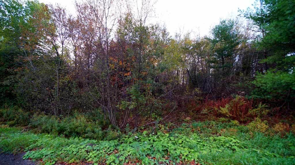Lot 46 Benn Hill Road Houlton, ME 04730 - Photo 21 of 32 benn-somerville-rd-linneus