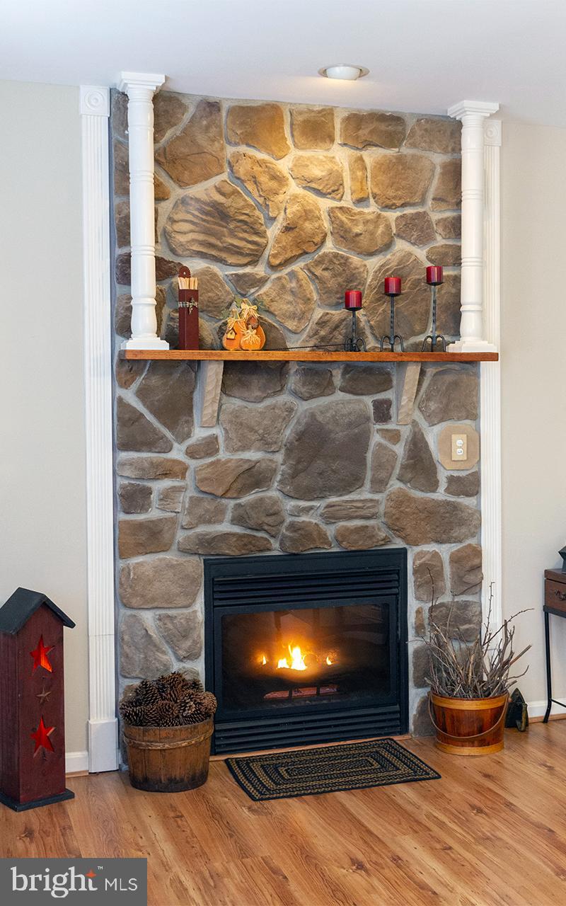 1 Lynn Ridge Court Manchester, MD 21102 - Photo 13 of 63 Stone Fireplace with Wood Mantle