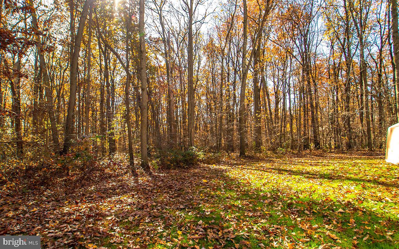 1 Lynn Ridge Court Manchester, MD 21102 - Photo 58 of 63 Almost 3 Acres of Land to Explore!