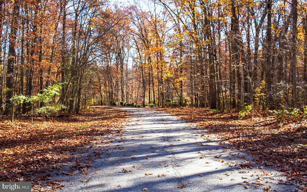 1 Lynn Ridge Court Manchester, MD 21102 - Photo 63 of 63 Quiet drive ready for dog walks and bike rides