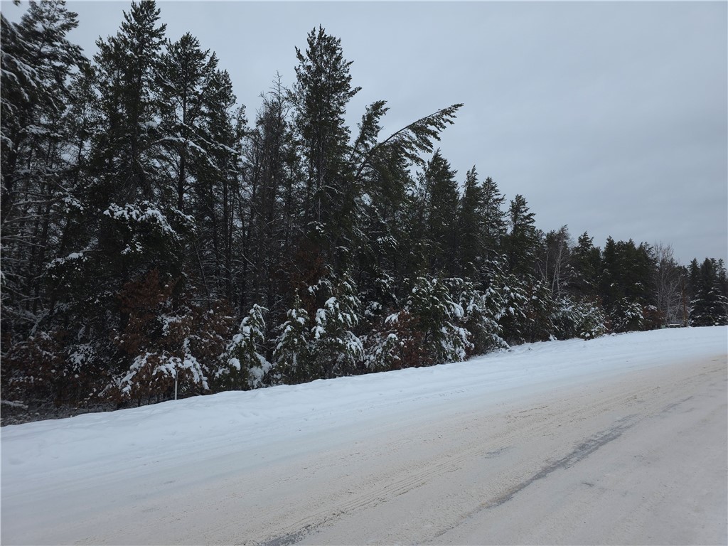 0 Liesch Road Trego, WI 54888 - Photo 10 of 27