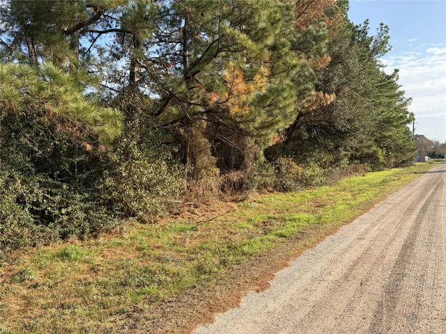 a view of a yard with a tree