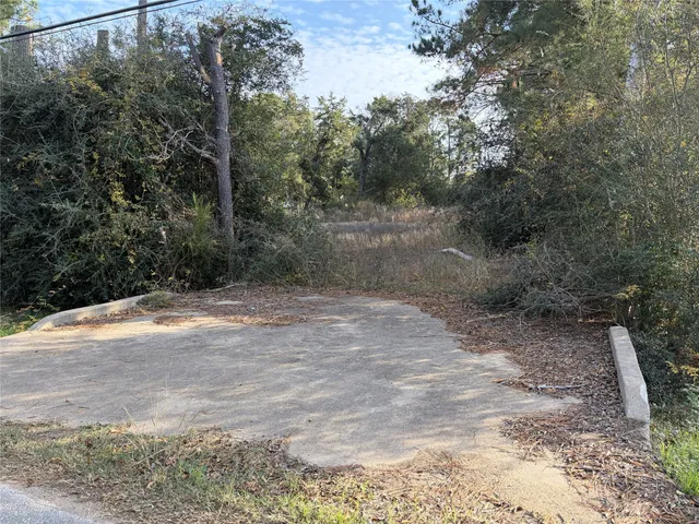 a view of a yard with a tree