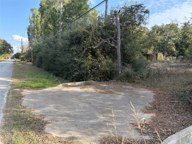 a view of a yard with plants and trees