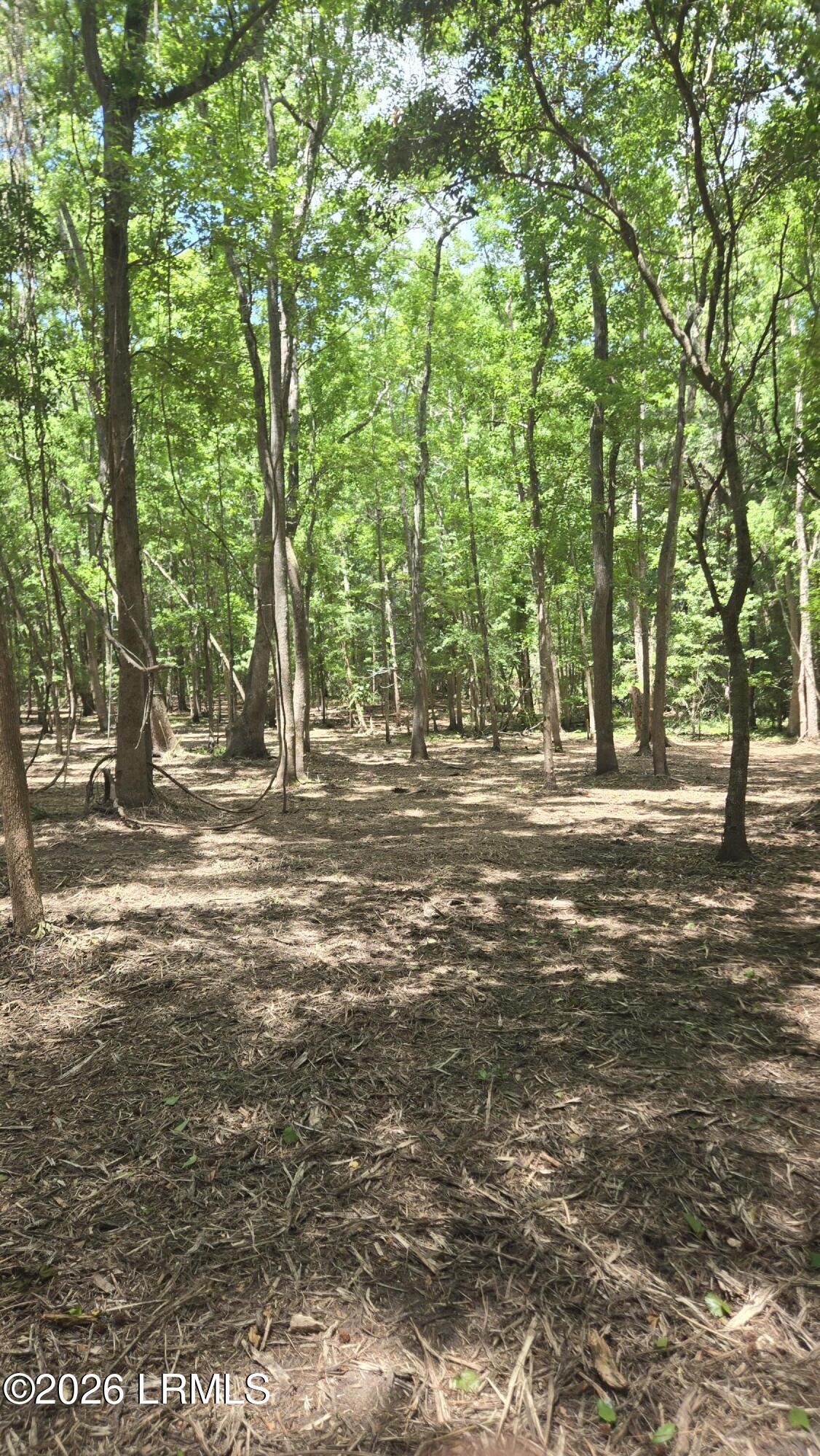 976 Sams Point Road Beaufort, SC 29907 - Photo 56 of 63 20260526_123655