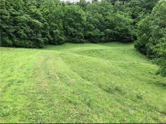 1993 Peniel Road Gay, WV 25244 - Photo 14 of 23 Gallery Image 14