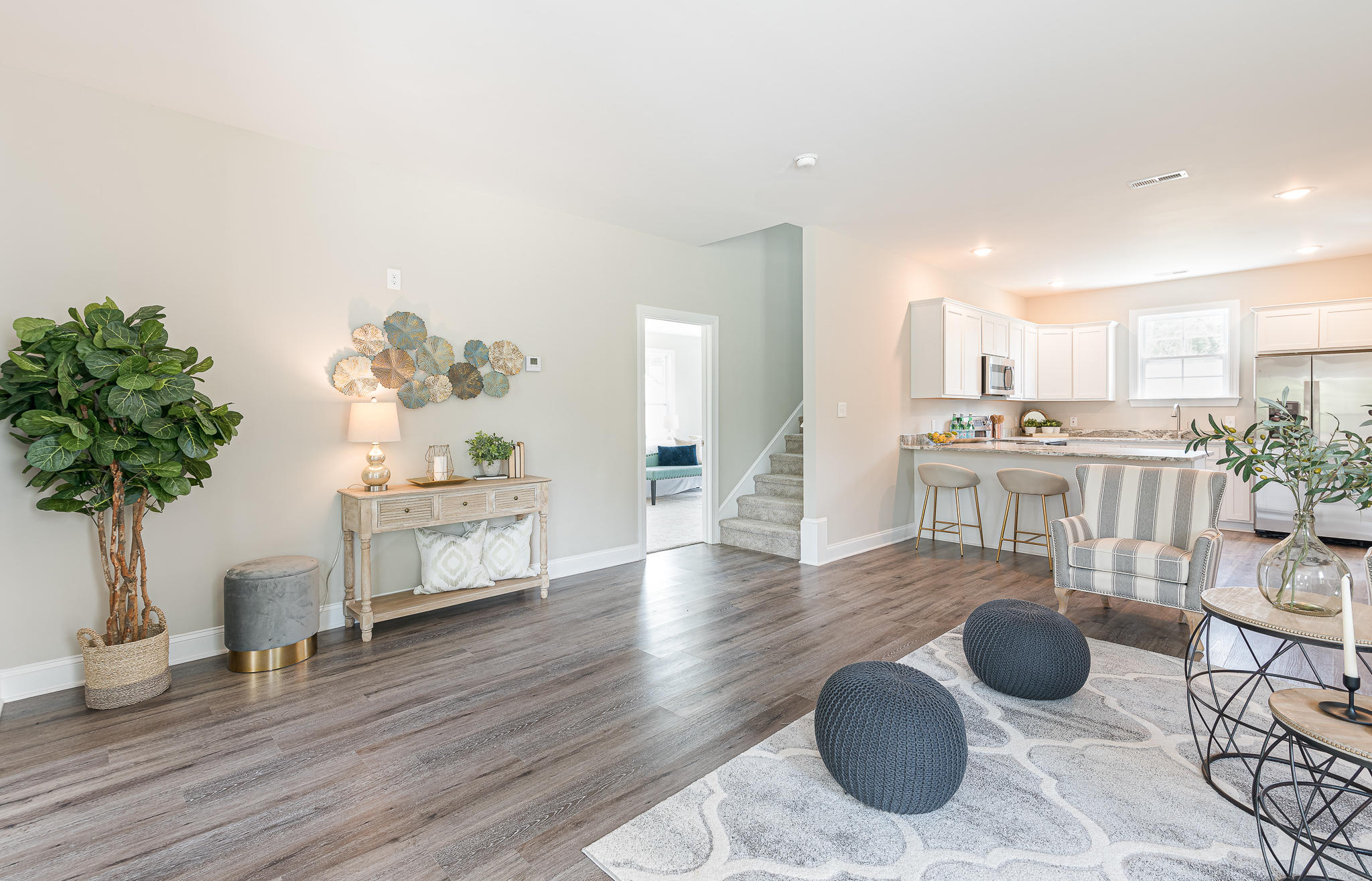 101 Edistodane Lane Ridgeville, SC 29472 - Photo 11 of 32 MOD_0749-Edit