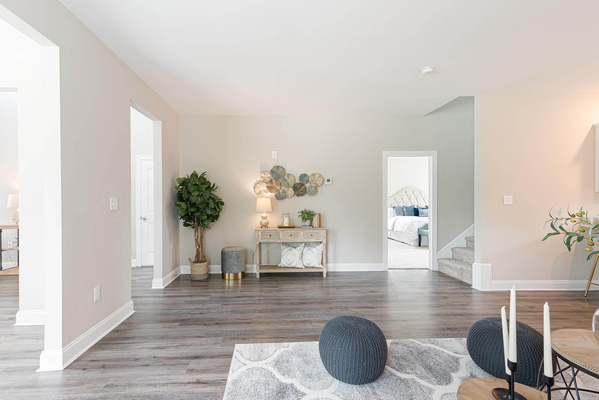 101 Edistodane Lane Ridgeville, SC 29472 - Photo 12 of 32 MOD_0752-Edit