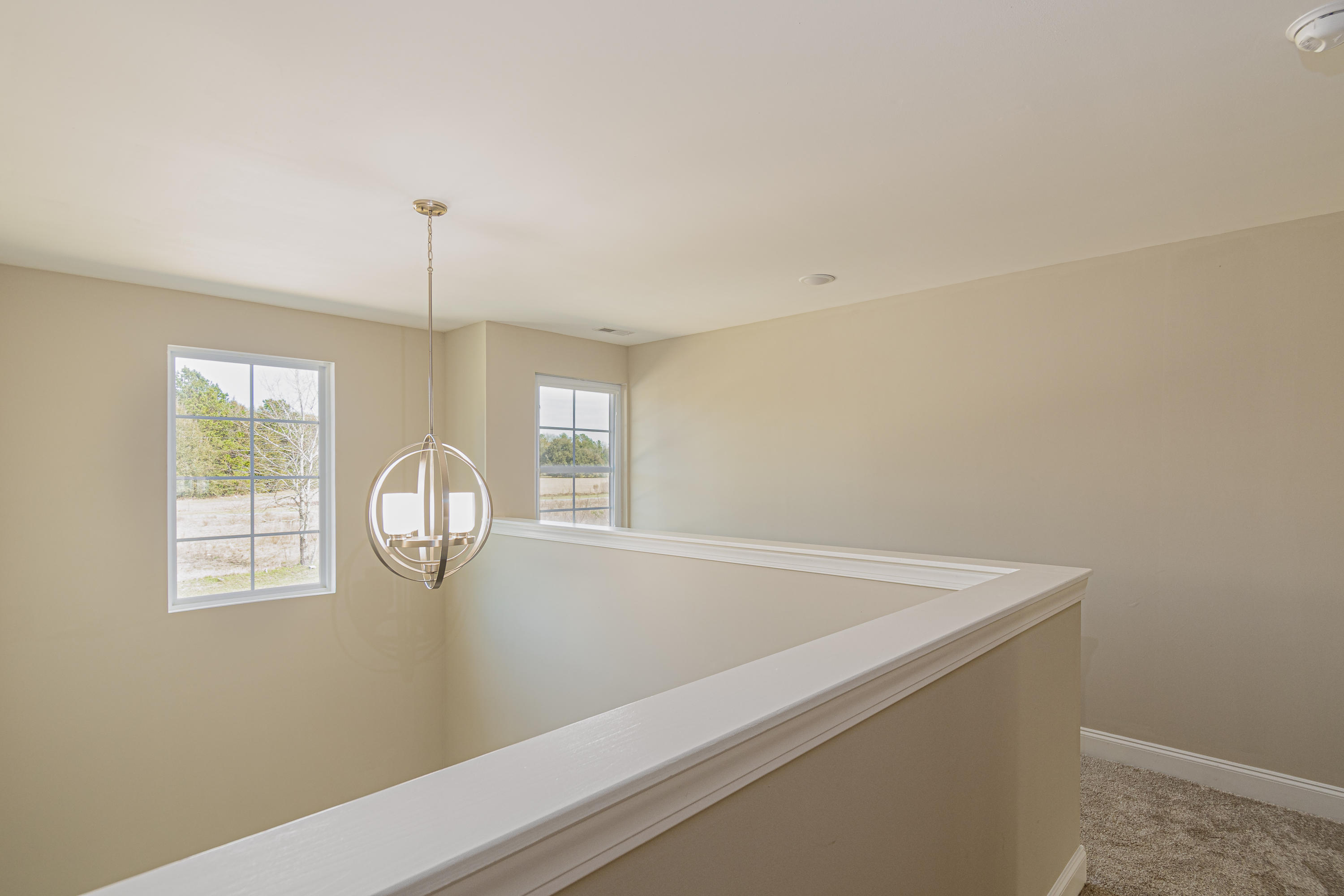 101 Edistodane Lane Ridgeville, SC 29472 - Photo 29 of 32 MOD_3913-Edit