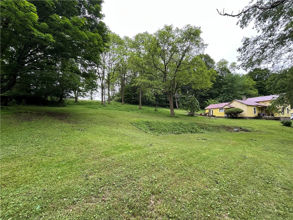 326 Park Hill Road Erin, NY 14838 - Photo 23 of 50