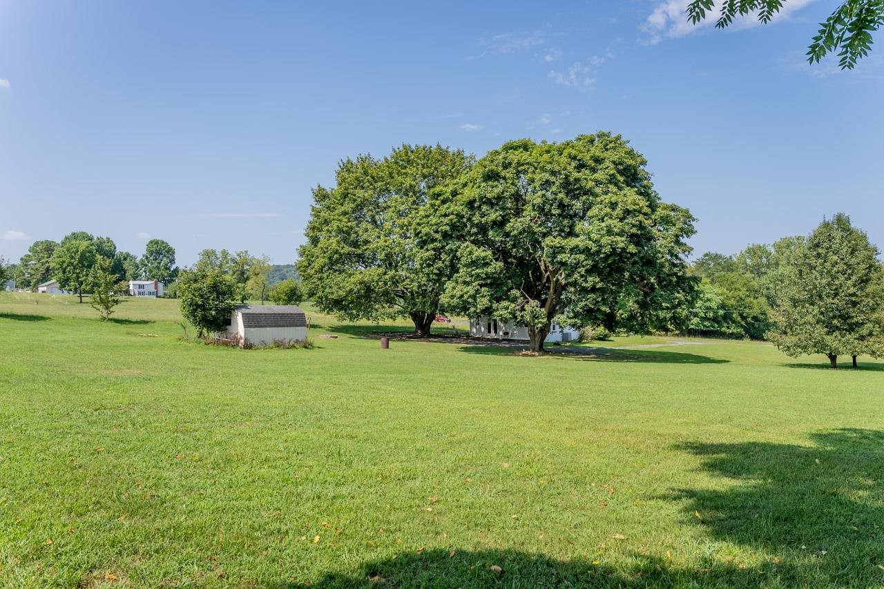 3697 Oak Ridge Road Mount Crawford, VA 22841 - Photo 20 of 34 a garden with trees in the background