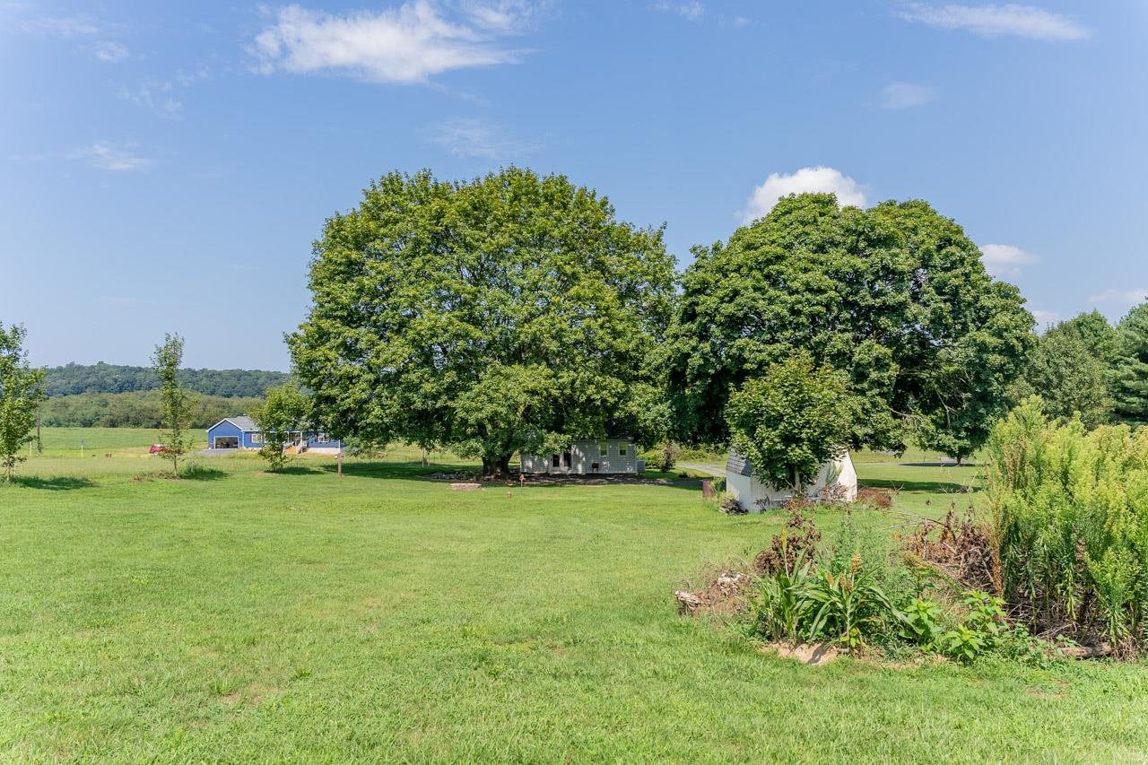 3697 Oak Ridge Road Mount Crawford, VA 22841 - Photo 24 of 34 a garden with trees in the background