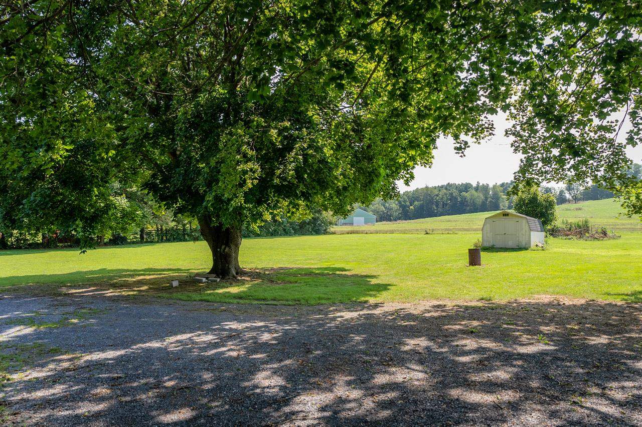 3697 Oak Ridge Road Mount Crawford, VA 22841 - Photo 27 of 34 a view of a yard with a tree