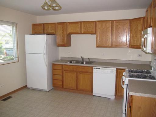 907 Tralee Court Gurnee, IL 60031 - Photo 2 of 11