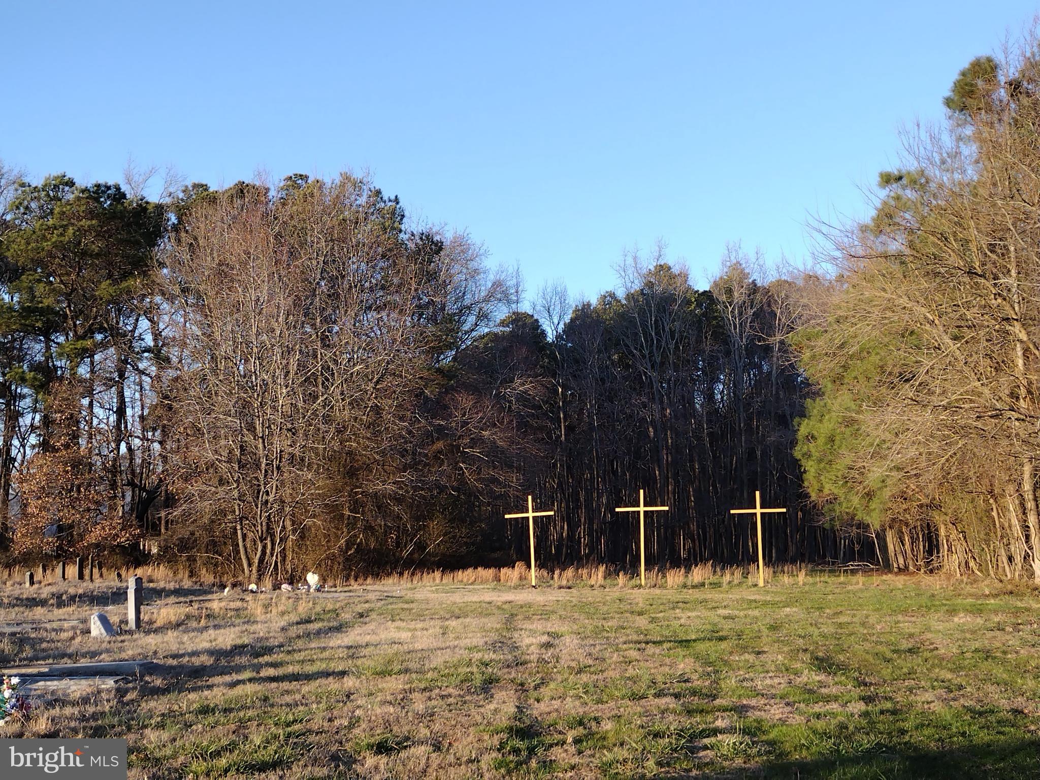 191 Jesterville Road Nanticoke, MD 21840 - Photo 1 of 8