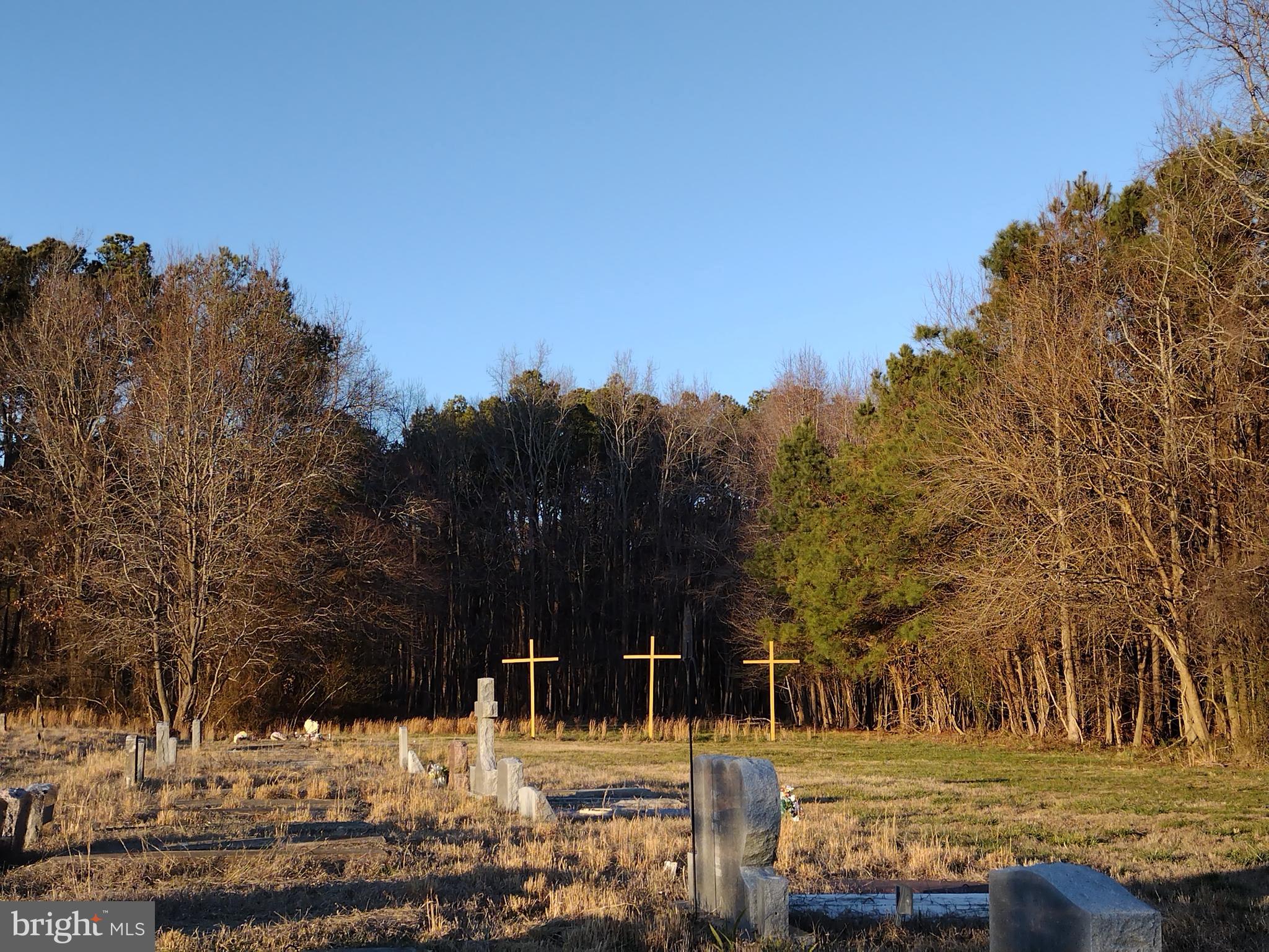 191 Jesterville Road Nanticoke, MD 21840 - Photo 3 of 8