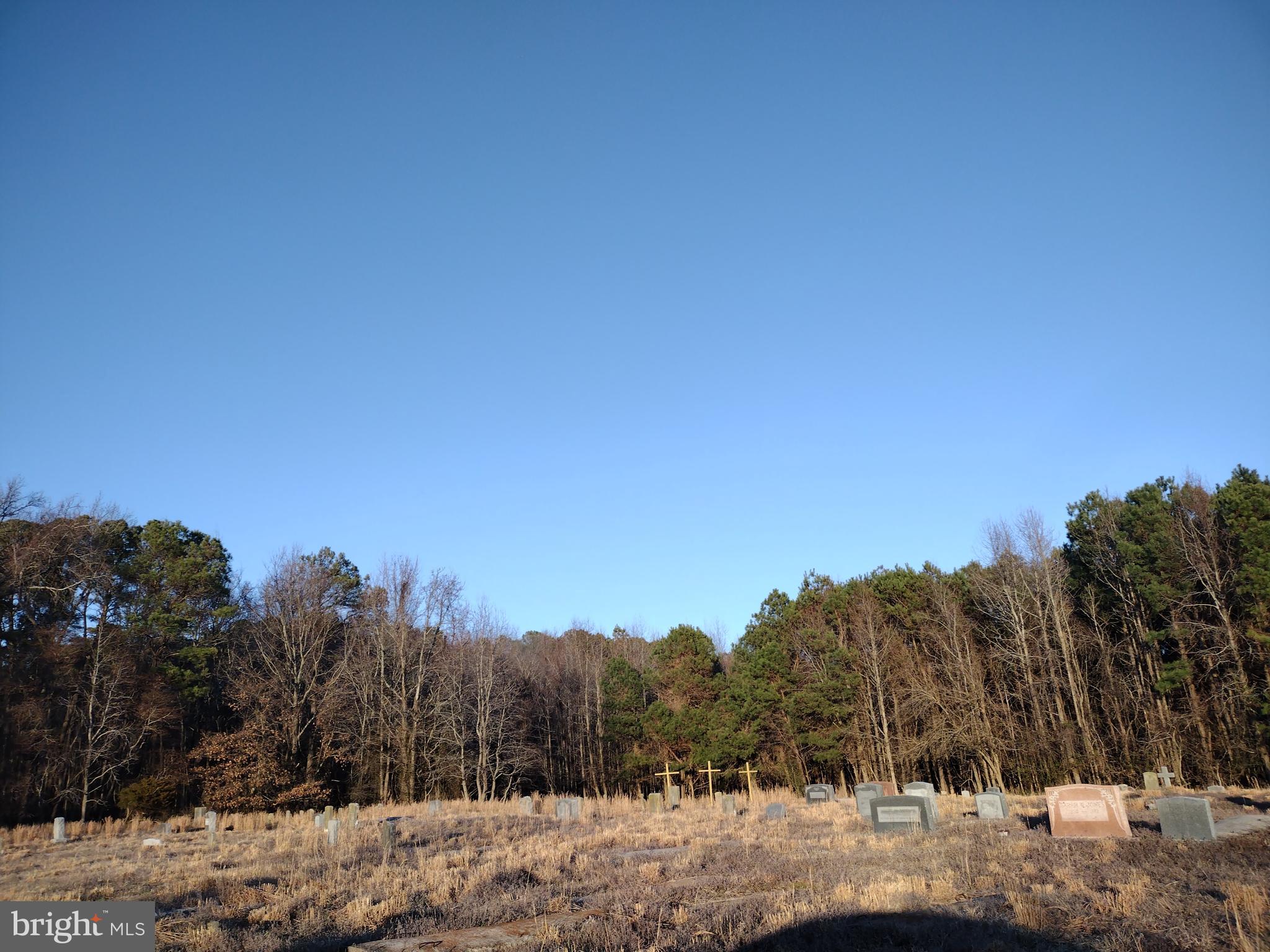 191 Jesterville Road Nanticoke, MD 21840 - Photo 4 of 8