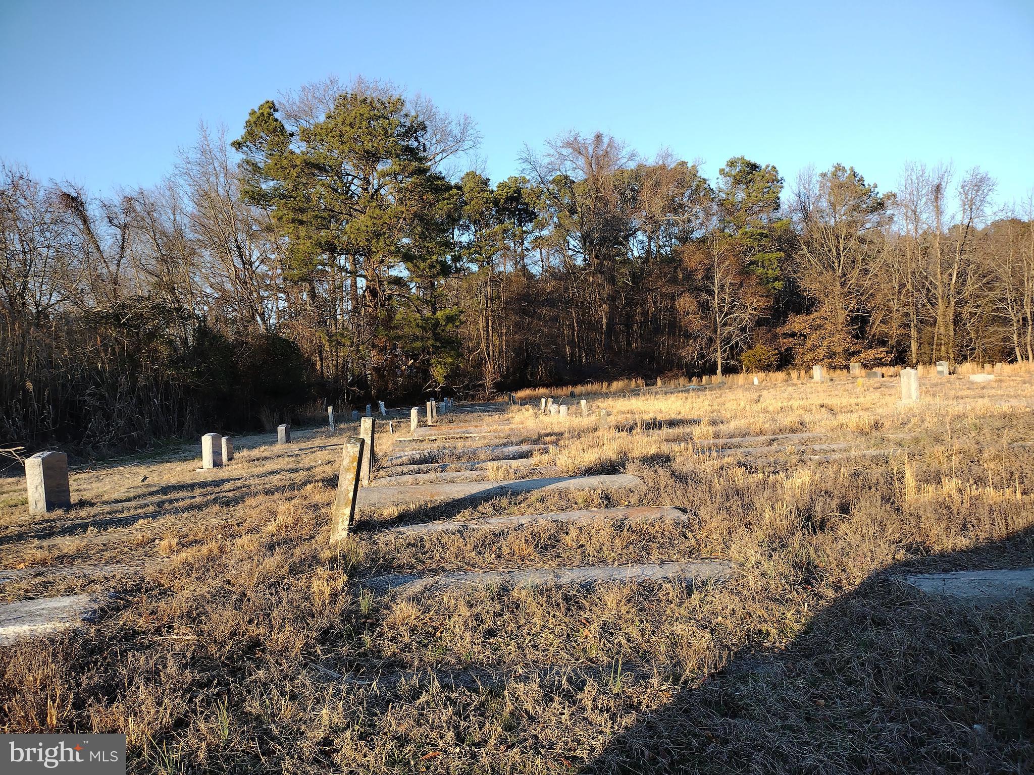 191 Jesterville Road Nanticoke, MD 21840 - Photo 8 of 8
