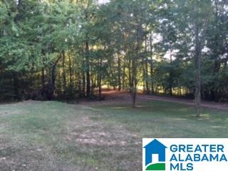 4585 Greathouse Road Dora, AL 35062 - Photo 9 of 15